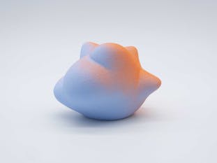 Gradation Form (NO/PB) #02